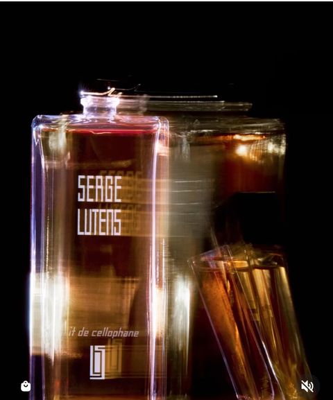 Picsart_22-08-22_14-28-16-737