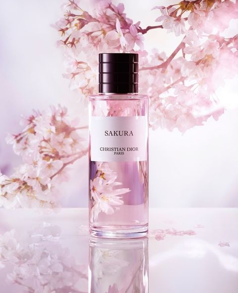 Picsart_22-09-26_13-10-28-793